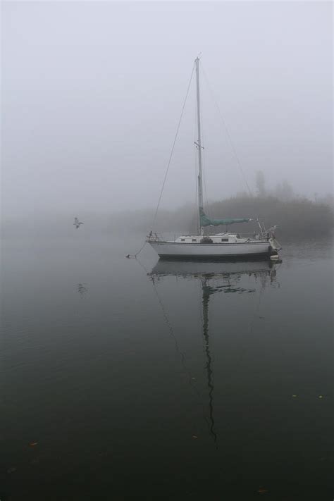 Mystical Fog Photograph By John Loyd Rushing Fine Art America
