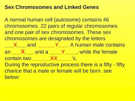 Sex Chromosomes And Linked Genes A Normal Human Cell Autosome Contains 46 Chromosomes 22