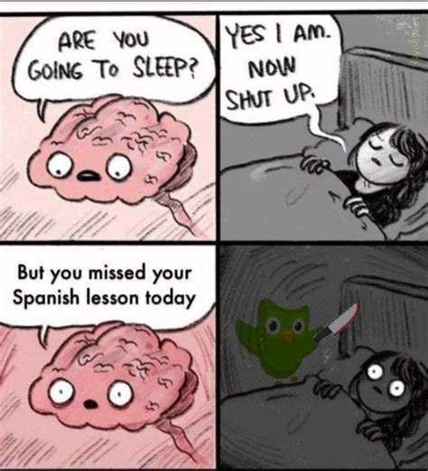 Duolingo memes (you skip your spanish lesson today). 32 Hilarious Duolingo Memes That Reveal Just How Evil The Little Owl Is - Success Life Lounge