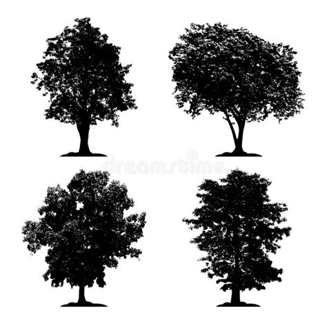 Silhouette Tree Vector Set On White Background And Isolated Icon Black