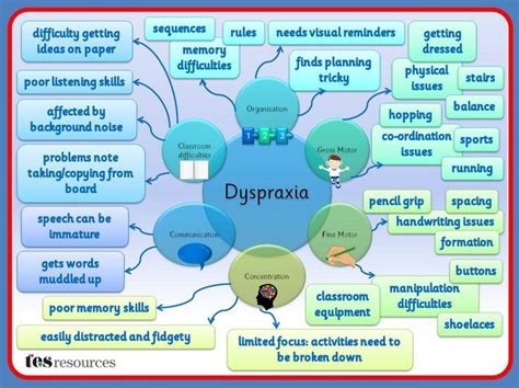 sensory processing disorder and selective mutism dyspraxia an overview
