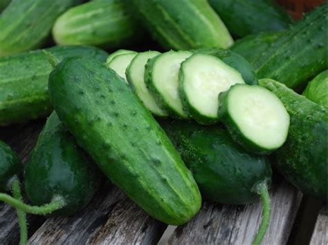 Boston Pickling Cucumber Seeds Baker Creek Heirloom Seeds