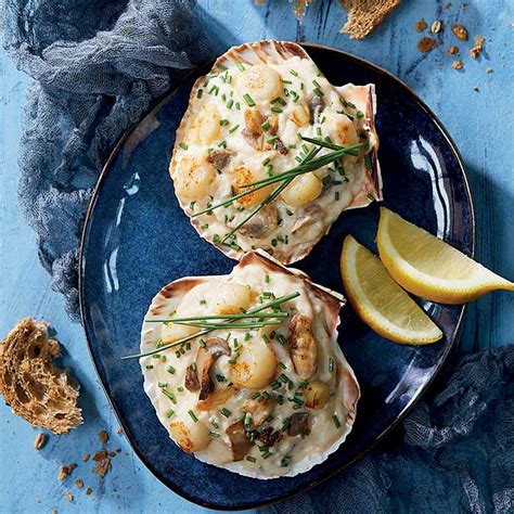 8 Coquilles St Jacques Bretonne