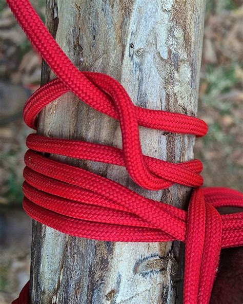 Camp Craft How To Tie Square Lashing Camping Crafts Crafts