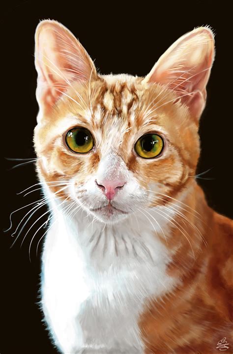 Realistic Cat Portrait By Crypticmanifestation On Deviantart