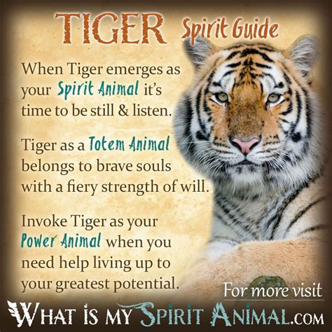 Mammal Symbolism And Meaning Spirit Totem And Power Animal Tiger