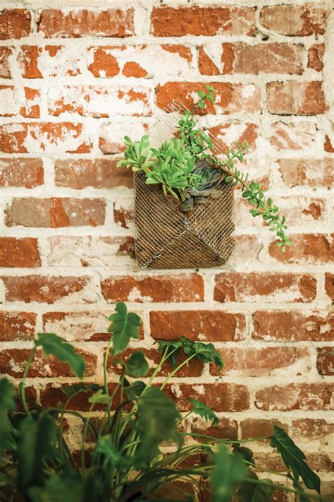 Diy Chicken Wire Planter Enjoy San Joaquin Valley Living