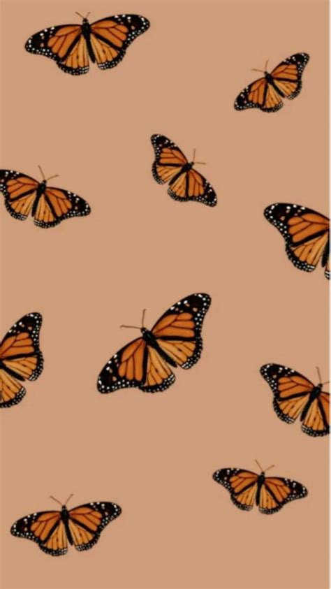 Orange And Black Butterfly Wallpaper For Iphone