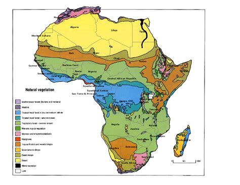 Africa's total land area is approximately 11,724,000 square miles (30,365,000 square km), and the continent measures about 5,000 miles (8,000 km) from north to south and about 4,600 miles (7,400 km) from east to west. Vegetation Quotes. QuotesGram