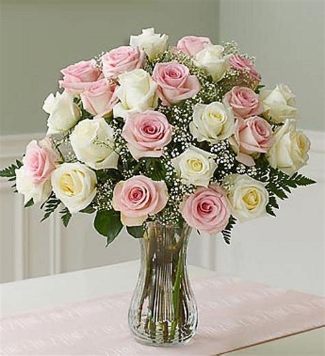 Two Dozen Long Stem Pink And White Roses 꽃장식 덩굴장미 꽃다발