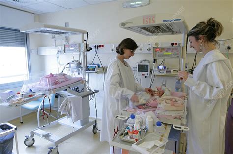 Resuscitation Newborn Baby Stock Image C0153819 Science Photo