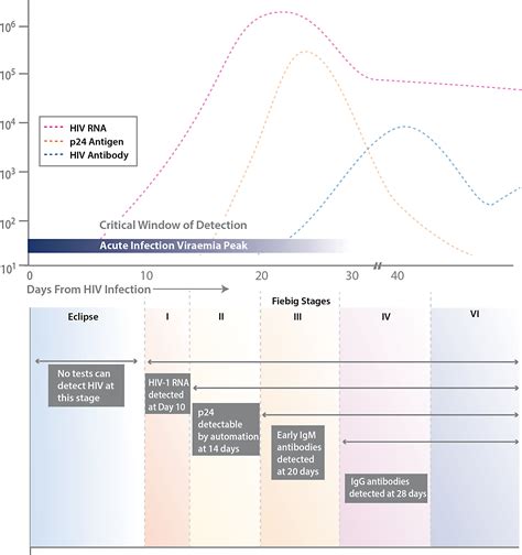 Human Anti Hiv Igm Detection By The Oraquick Advance® Rapid Hiv 12 Antibody Test Peerj