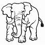 Printable Coloring Pages Elephant