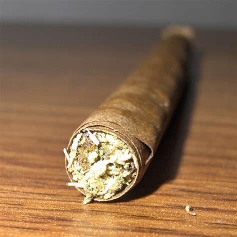 How To Roll A Blunt Become A Master Cannabismo