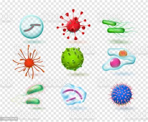 Realistic Viruses Bacteria Germs Microorganism 3d Microscopic Infection