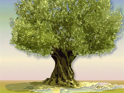 Animation Tree