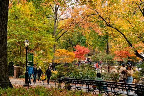 12 Epic Spots To See Fall Foliage In Central Park New York Simply