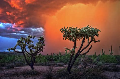 Colorful Desert Storm In Central Arizona Photograph By Dave Dilli Pixels