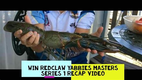 Red Claw Yabbies Masters Series Recap Big Red Claw Crayfish In The World Red Claw Traps Qld