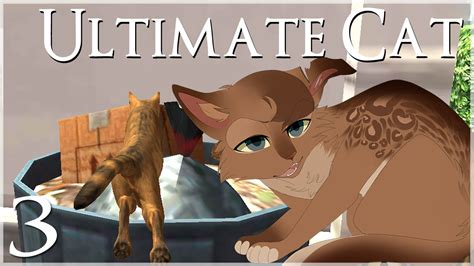 Trashcan Treats And A New Cat Ultimate Cat Simulator Episode 3
