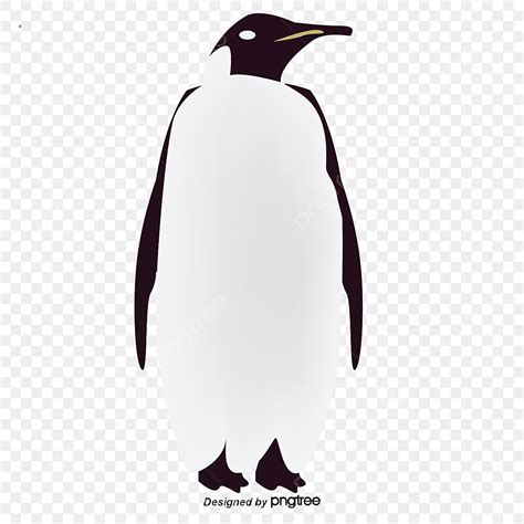 Gambar Pinguin Clipart Penguin Vektor Penguin Vektor Penguin PNG Dan