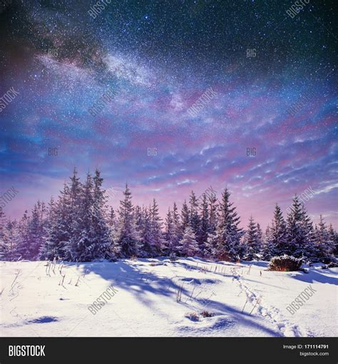 Starry Sky Winter Image And Photo Free Trial Bigstock