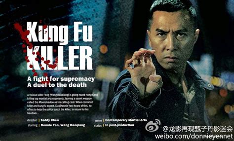 Kung Fu Killer Hd Movies Download