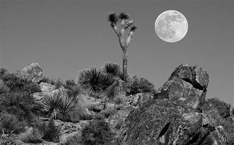 Full Moon Over The Desert Photograph By Marilyn Mcfarlin Pixels