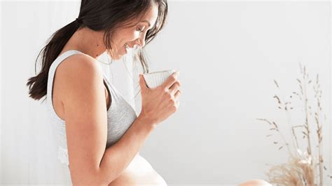 Hydration During Pregnancy Why Is It So Important Mamamio