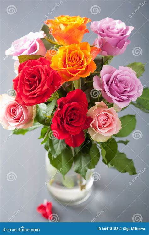 Beautiful Colorful Rose Flowers Bouquet In Vase Stock Photo Image Of