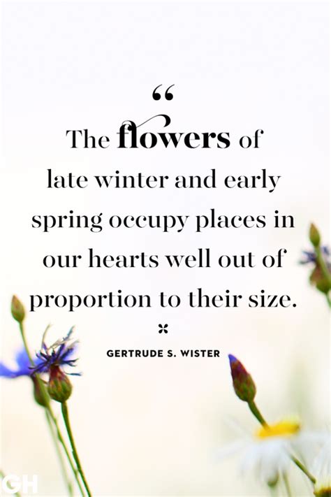 65 Best Spring Quotes For Inspiration Happiness And Hope