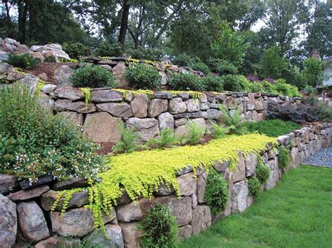 Retaining Wall Landscape Like The Light Green Plant Landscaping