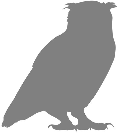 Owl Silhouette Free Vector Silhouettes