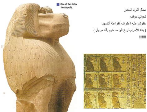 تساهم فى رسم مستقبل تعليمى أفضل وبناء عقول مبدعة. قوم عاد هم بناء الأهرام وليس الفراعنة