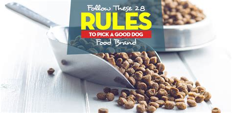 The best dog food promotes healthy bones, teeth, and coats and has a delicious flavor to ensure dogs always come back for more. 28 Good Dog Food Brands Rules for Your Next Shopping Session