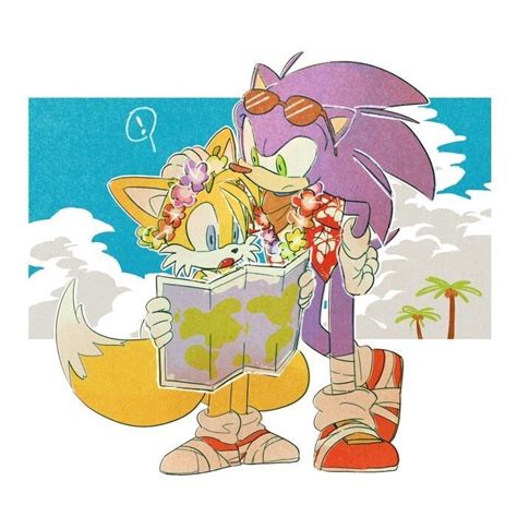 𝑰𝒎𝒂́𝒈𝒆𝒏𝒆𝒔 𝑺𝒐𝒏𝒕𝒂𝒊𝒍𝒔 🌸 Sonic Heroes Sonic Fan Characters Sonic Art