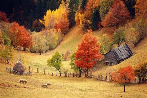 Photo Best Photos 500 Autumn Scenery Colorful Landscape Scenery