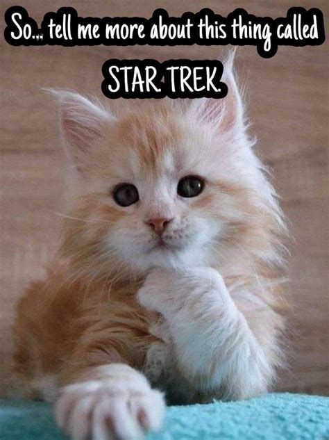 The american actor had been in a critical condition at mount sinai morningside hospital after being struck by the motorised scooter in new york city earlier this month. Pin by Lisa Jo on Star Trek | Star trek, Trek, Stars