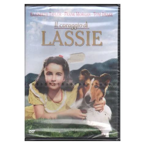 Il Courage De Lassie Dvd Fred Mcleod Wilcox Fermé 5051891001039 Eur 1332 Picclick Fr