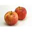 California Apples « Earls Organic Produce
