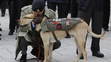 Veterans Day Is Different From Memorial Day Cnn