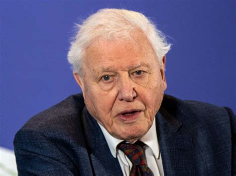 He never expressed a wish to act and, instead, studied natural sciences at. Sir David Attenborough warns climate change has been ...