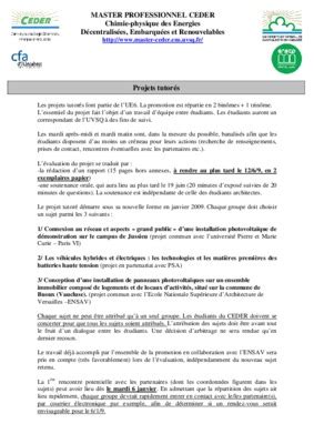 Projet Professionnel En Master 1 Technologie De L_information.pdf