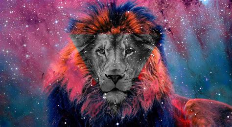 Top 999 Galaxy Lion Wallpaper Full Hd 4k Free To Use