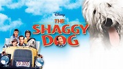 Ver The Shaggy Dog | Película completa | Disney+