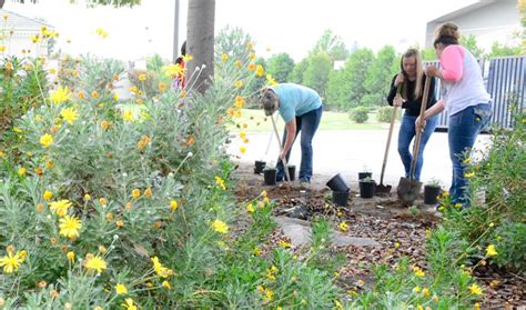 Student Volunteers To Rejuvenate Valley Childrens Therapy