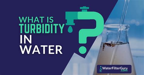 What Is Turbidity In Water A Water Doctor Explains