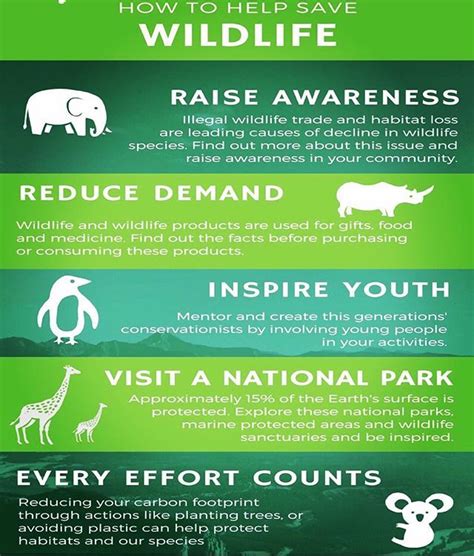 How To Save Wildlife Ways You Can Help This Info Graphic Comes To