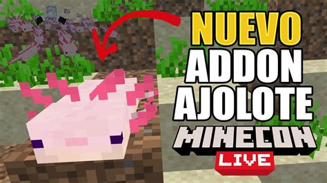 Axolotl Onesie Minecraft Skin De Ajolote Minecraft Ranging From