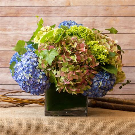 Emails will be responded to within 24 hours. CLASSIC HYDRANGEA ARRANGEMENT in New York, NY | Flowers by ...
